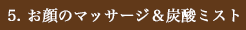 お顔のマッサージと炭酸ミスト